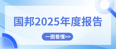國(guó)邦醫(yī)藥2025年度報(bào)告